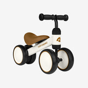 Baby Walker Fun